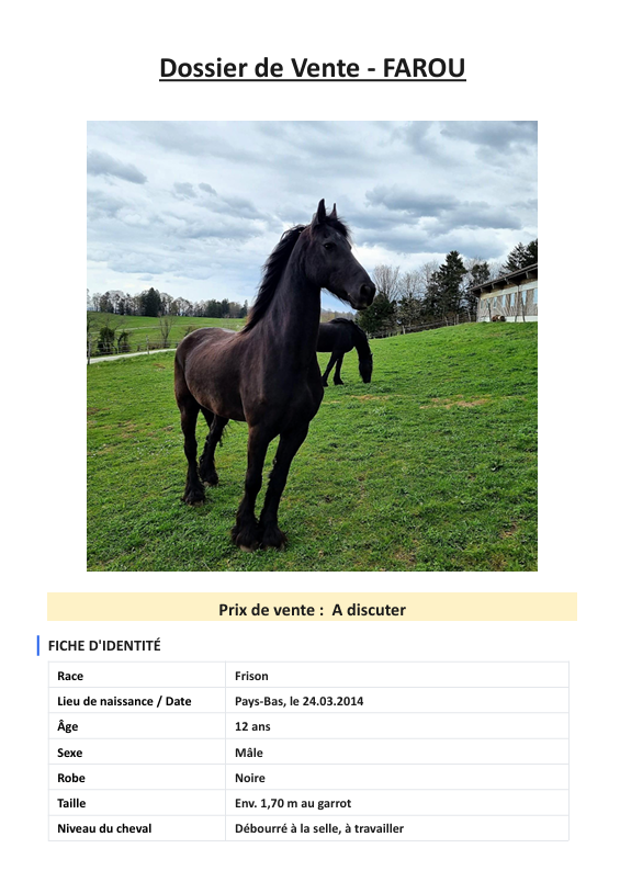 Castrone Frisone In vendita 2014 Nero
