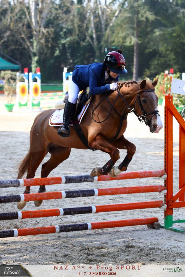 Appaloosa, per categorie pony.