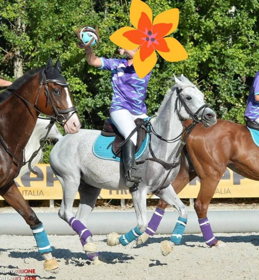 Vendo Pony Arabo 