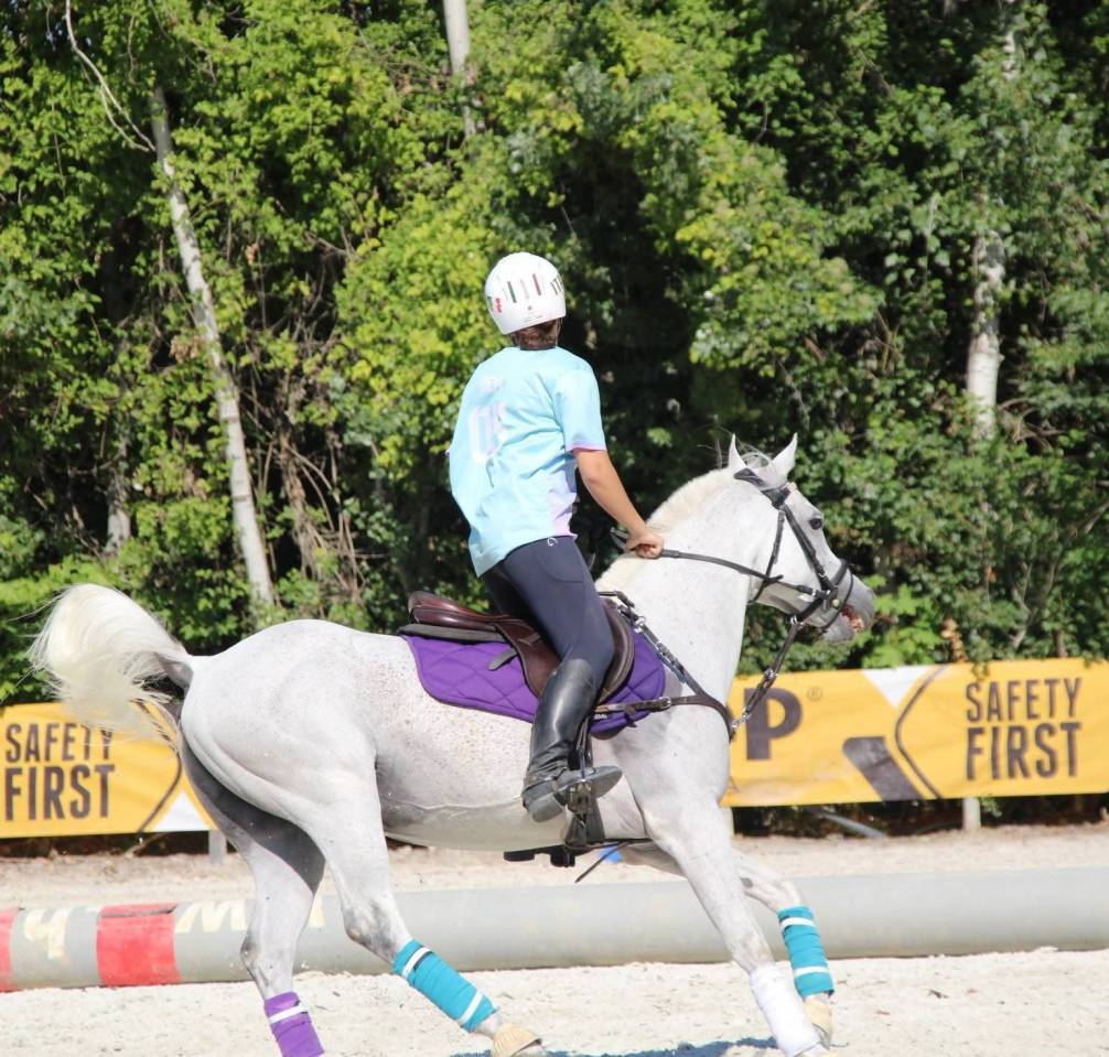 Vendo Pony Arabo 