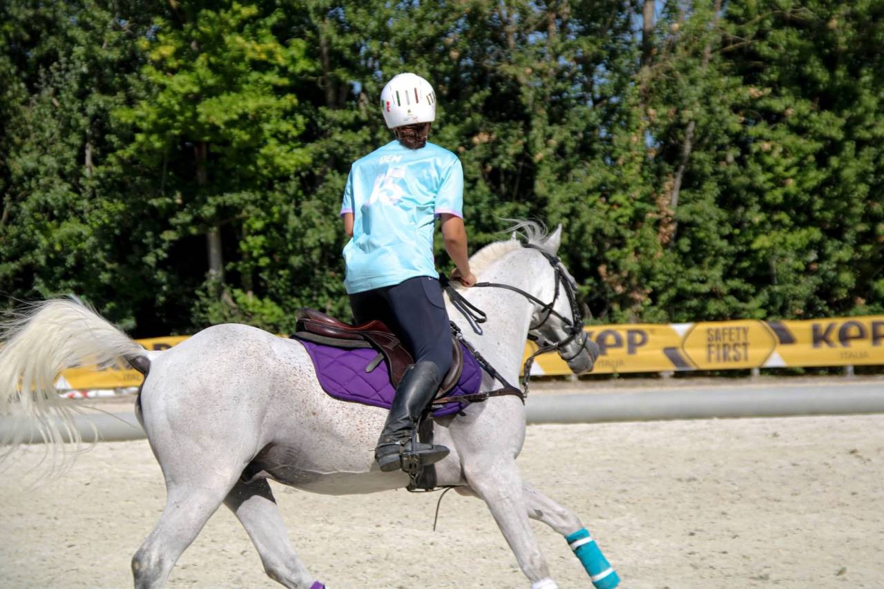 Vendo Pony Arabo 