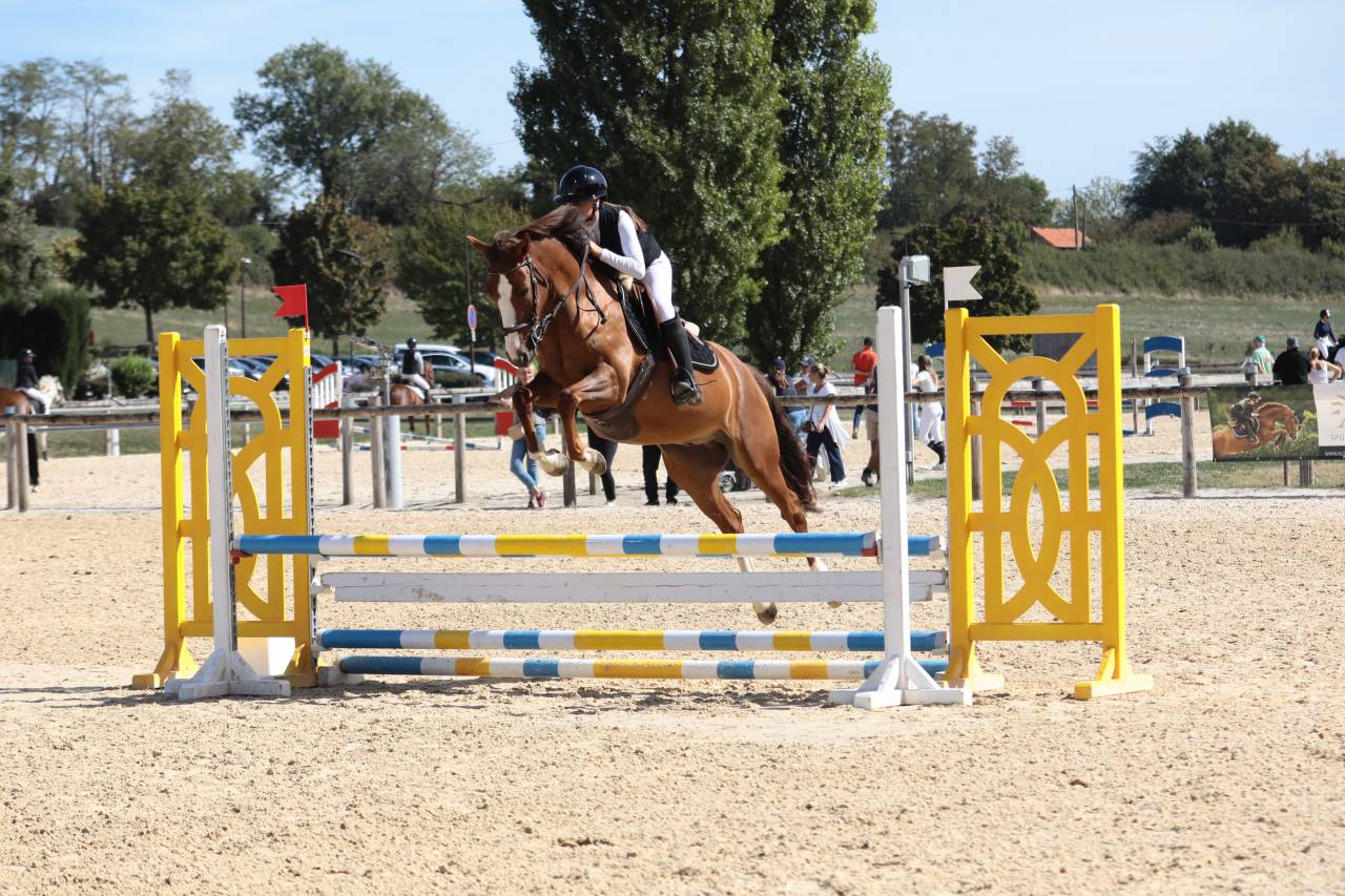 Castrone PFS Pony Francese da Sella Noleggio 2022 Sauro ,  OPPLALA ST HYMER
