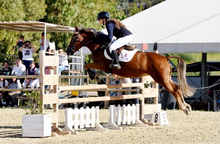 PONY IN VENDITA   LUNA