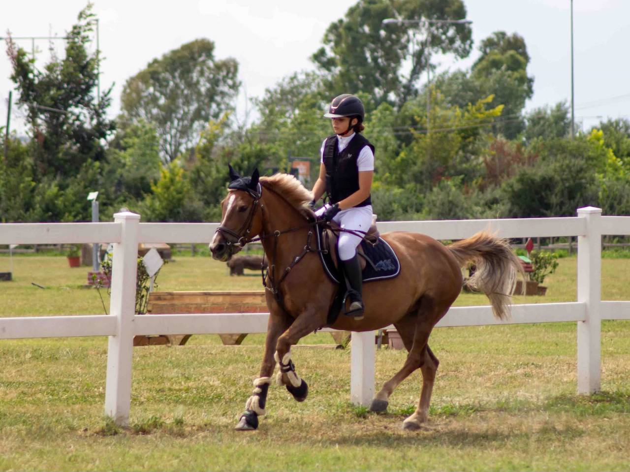 PONY IN VENDITA   LUNA