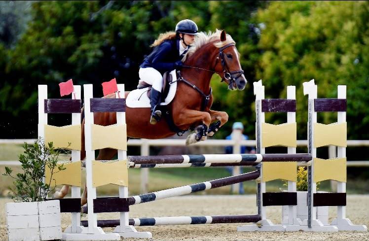 PONY IN VENDITA   LUNA