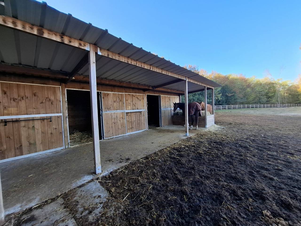 Scuderia per proprietari In vendita Loiret
