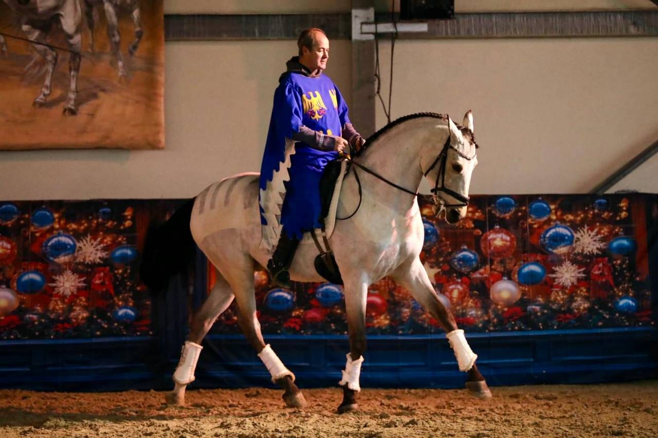 Castrone Lusitano In vendita 2017 Isabella ,  HABLADOR