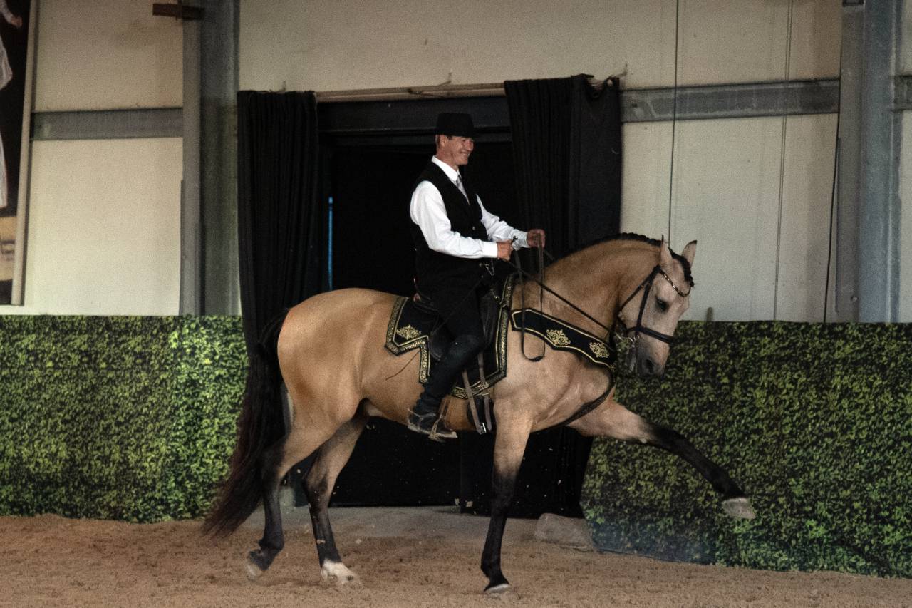 Castrone Lusitano In vendita 2017 Isabella ,  HABLADOR