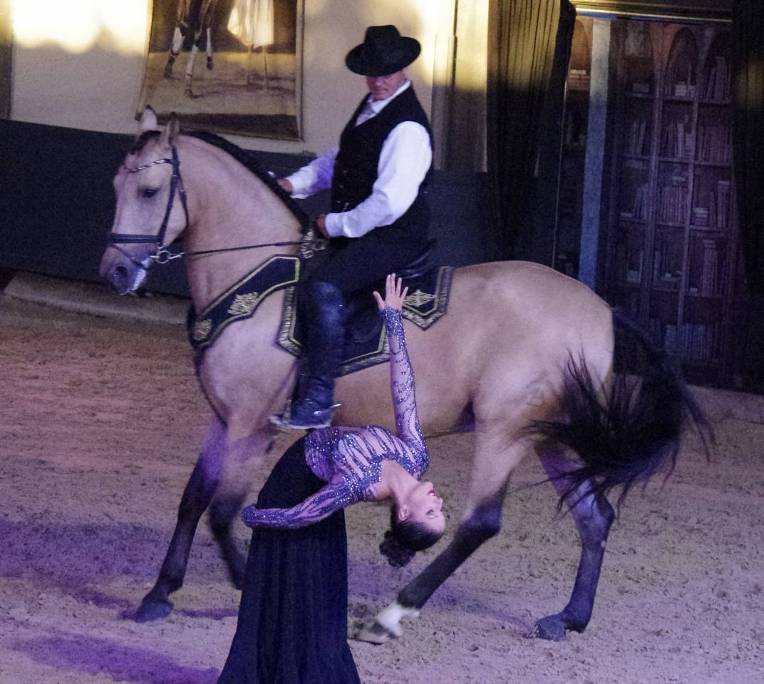 Castrone Lusitano In vendita 2017 Isabella ,  HABLADOR