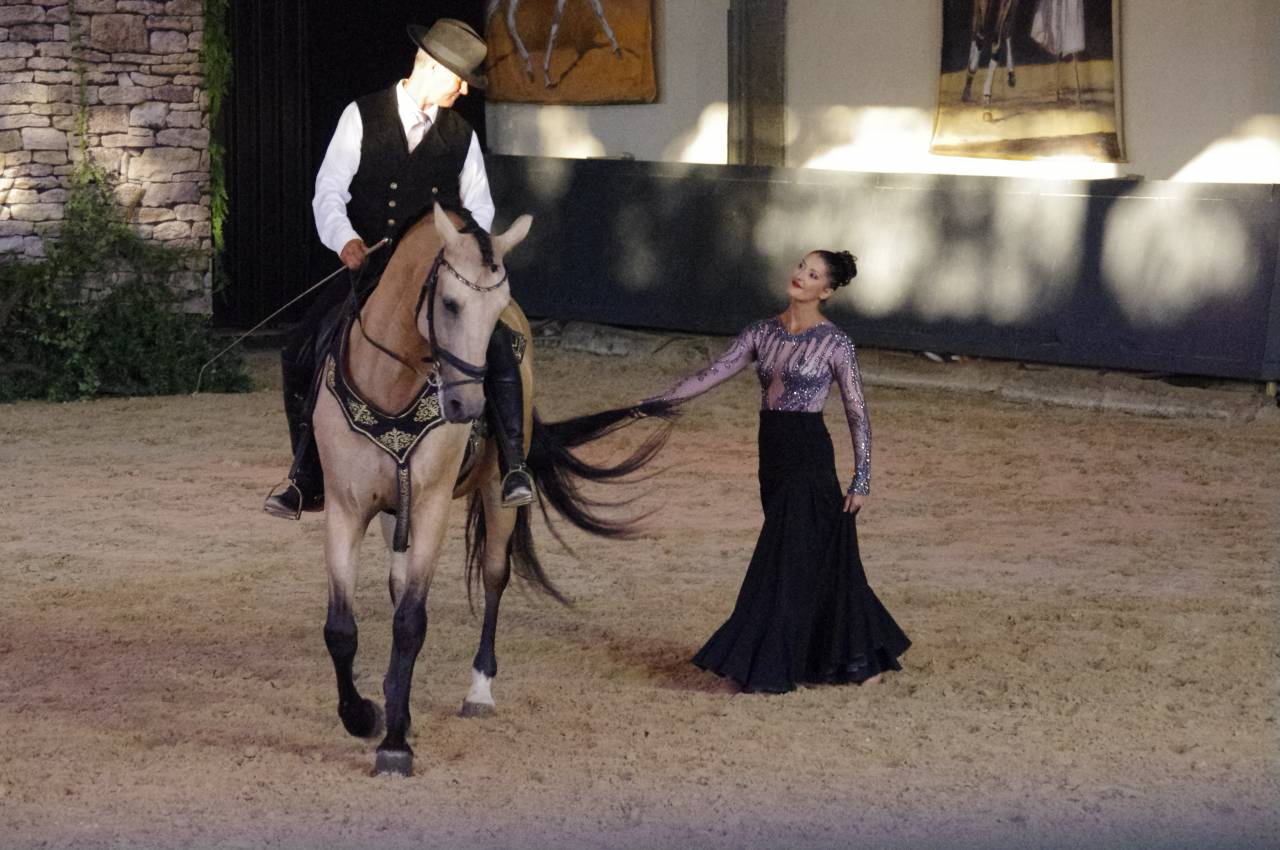 Castrone Lusitano In vendita 2017 Isabella ,  HABLADOR