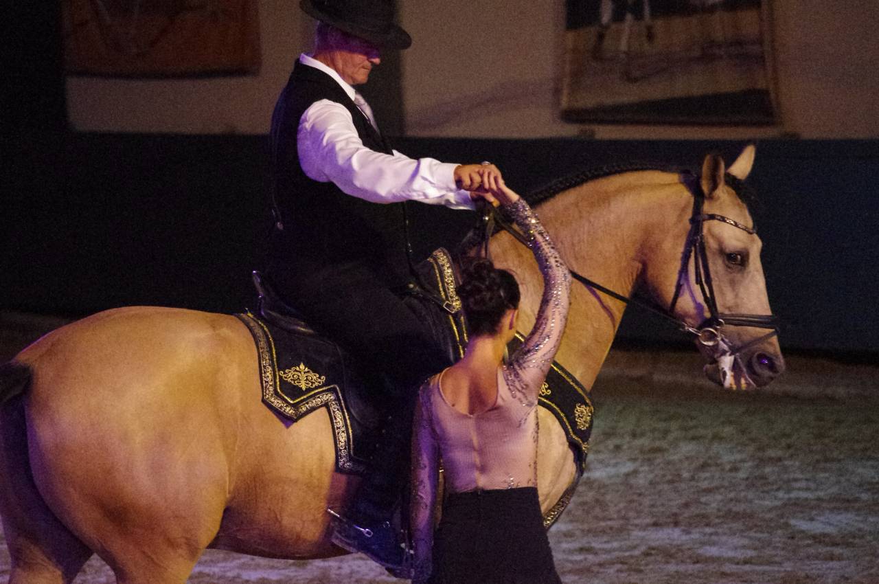 Castrone Lusitano In vendita 2017 Isabella ,  HABLADOR