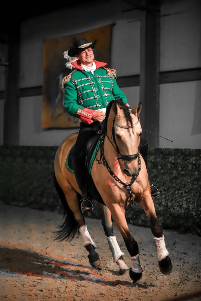 Castrone Lusitano In vendita 2017 Isabella ,  HABLADOR