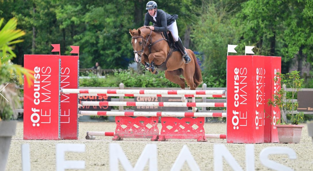Castrone Sella Francese In vendita 2020 Sauro ,  QLASSIC BOIS MARGOT