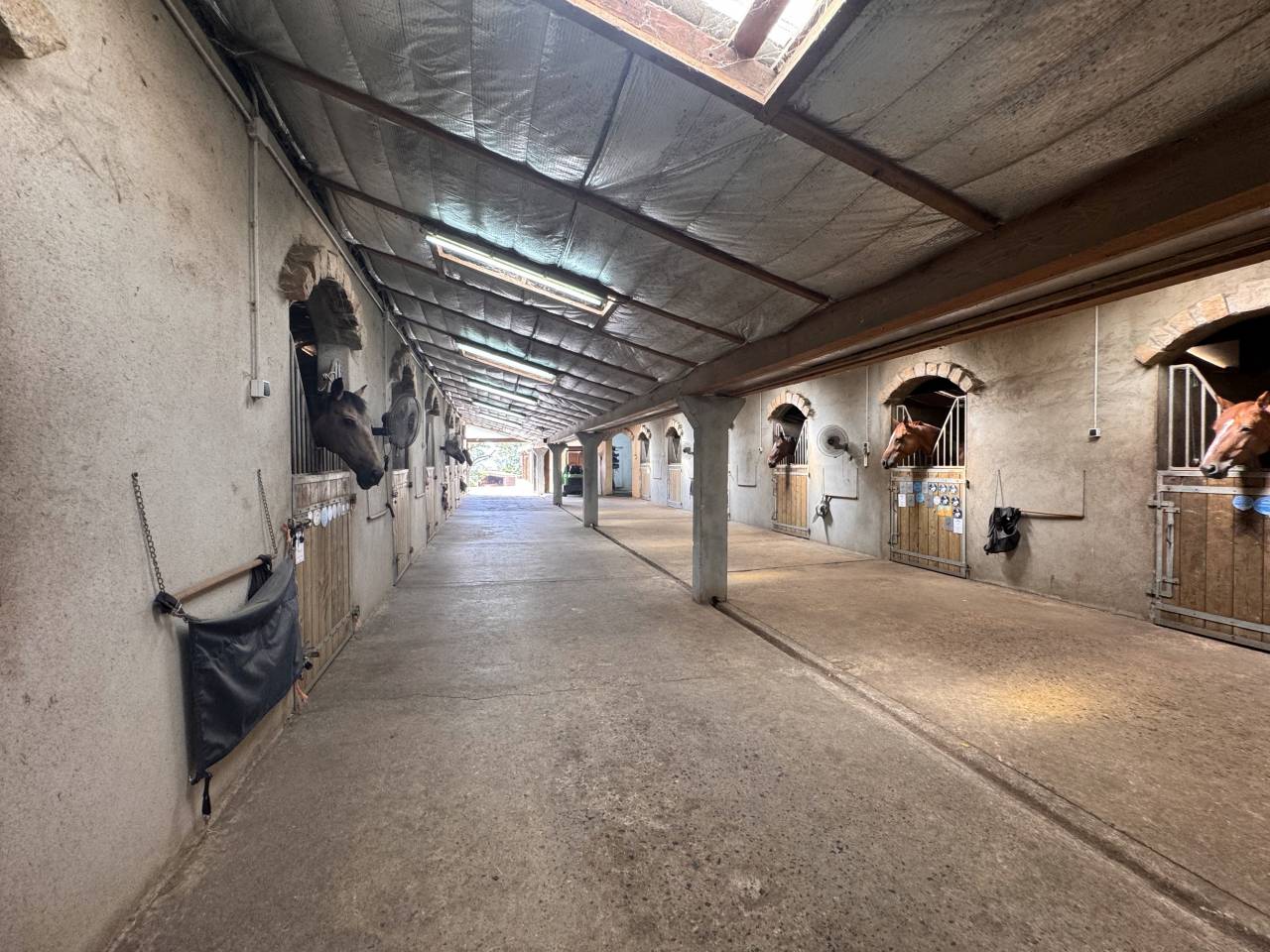Scuderia per proprietari In vendita Loire