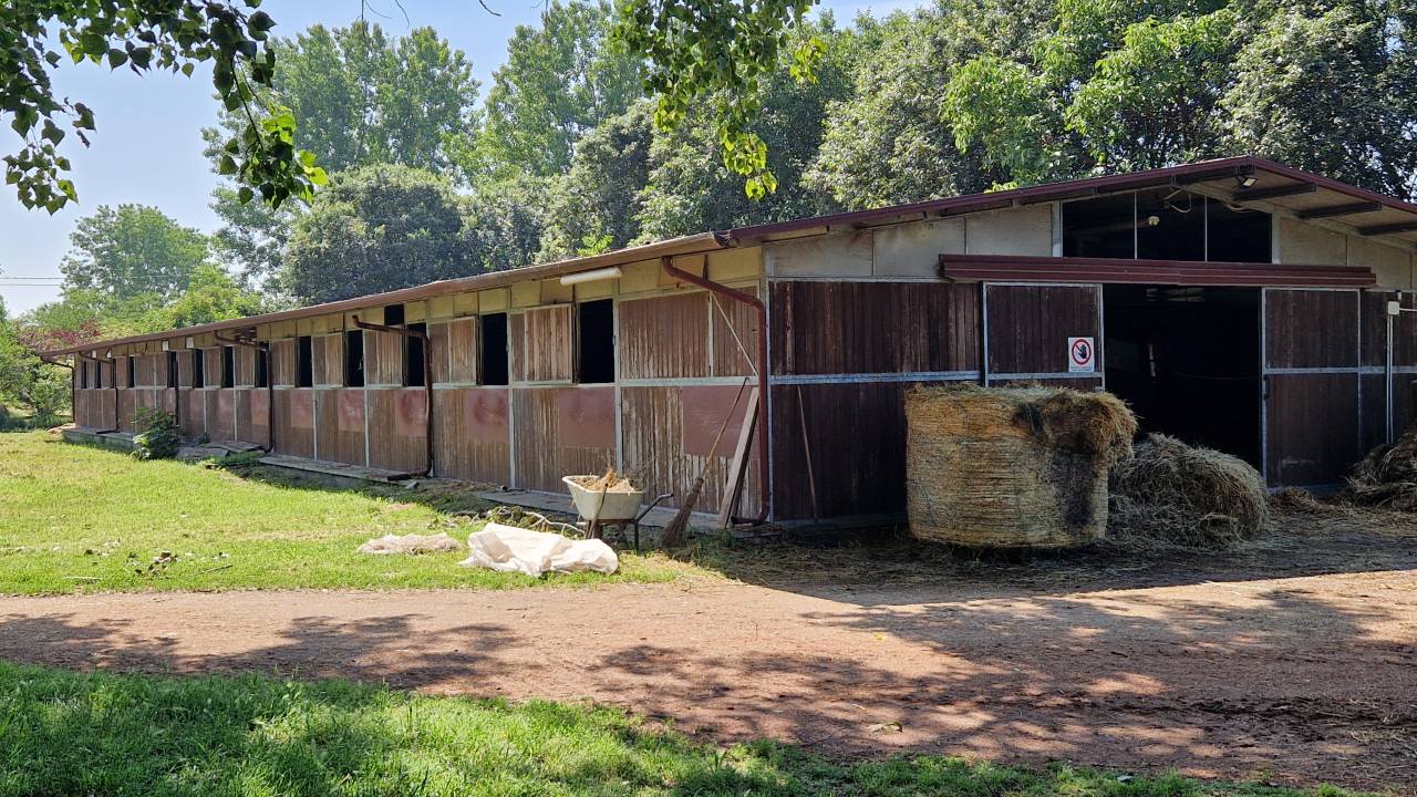 CENTRO IPPICO/MANEGGIO/SCUDERIA CAMPAGNA FERRARESE