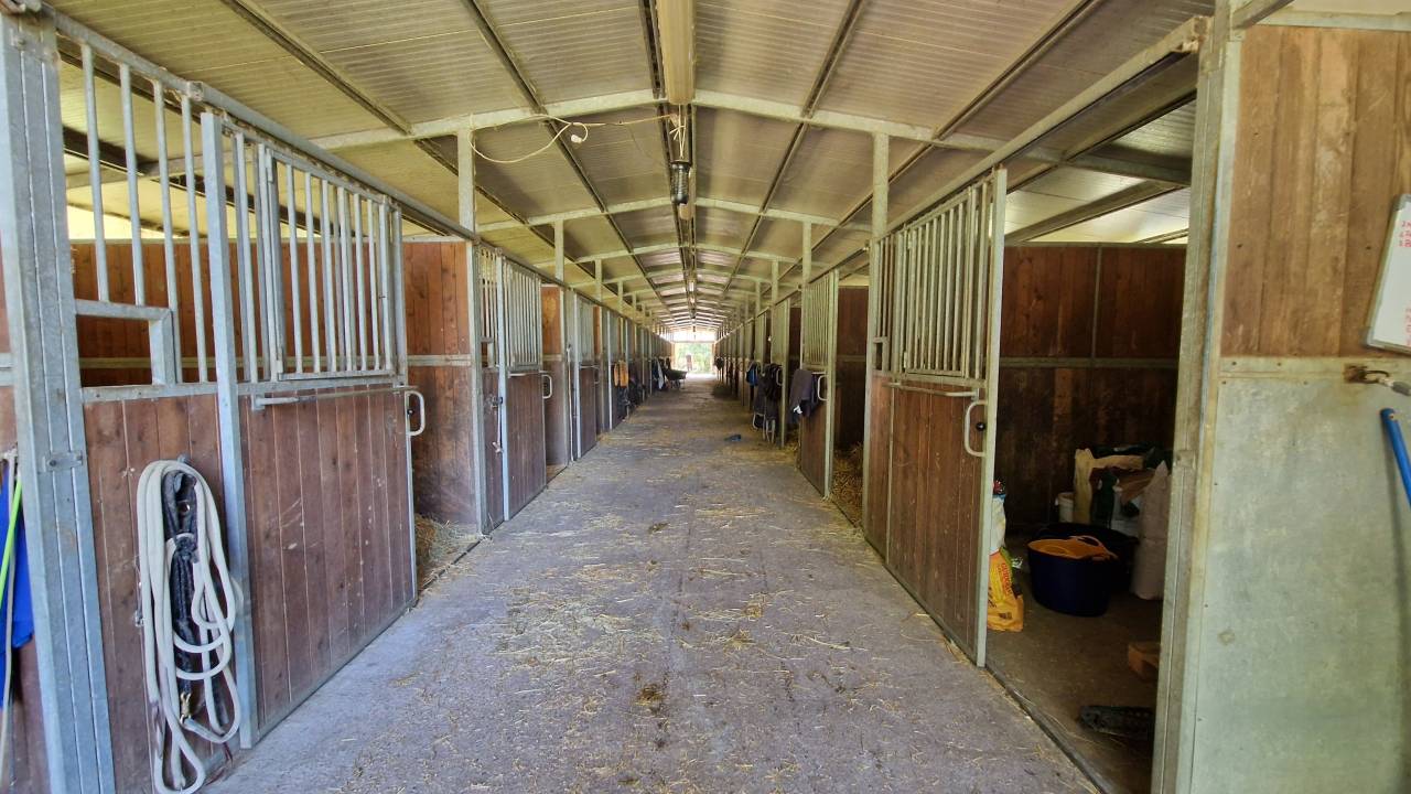 CENTRO IPPICO/MANEGGIO/SCUDERIA CAMPAGNA FERRARESE