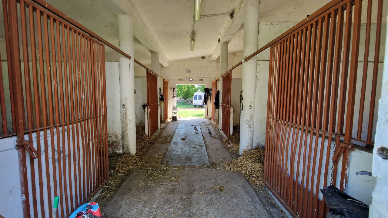 CENTRO IPPICO/MANEGGIO/SCUDERIA CAMPAGNA FERRARESE