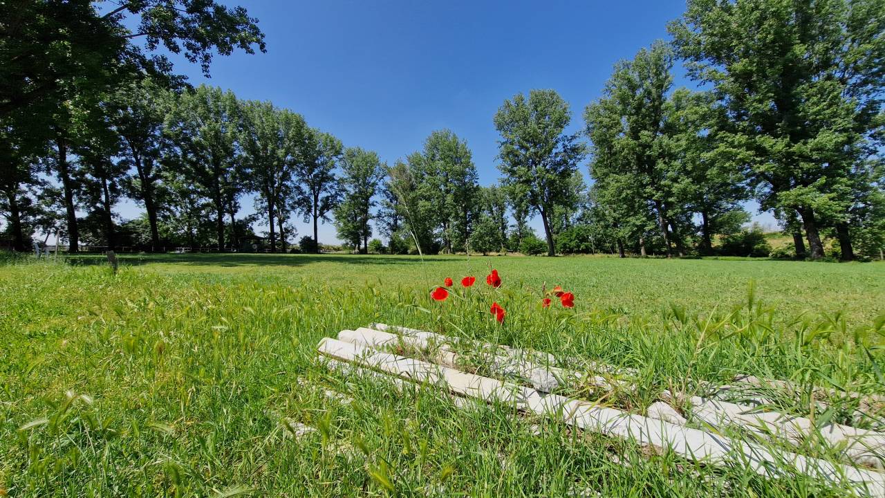 CENTRO IPPICO/MANEGGIO/SCUDERIA CAMPAGNA FERRARESE