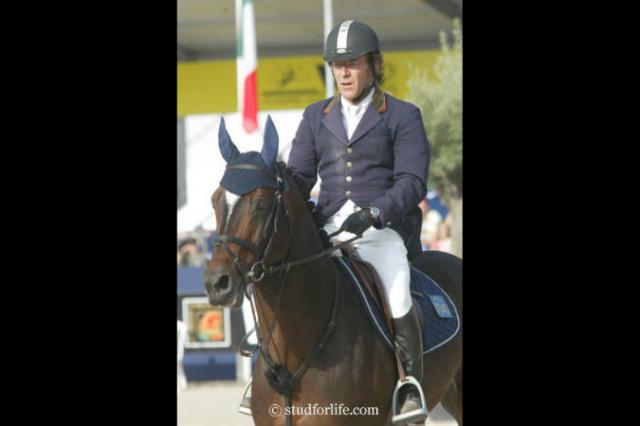 Toulon - BWP Cavallo da Sangue Belgio 1996 ,  HEARTBREAKER