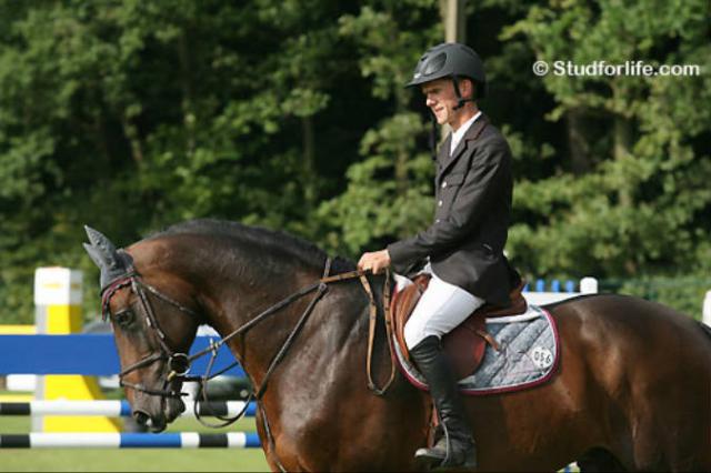 Toulon - BWP Cavallo da Sangue Belgio 1996 ,  HEARTBREAKER