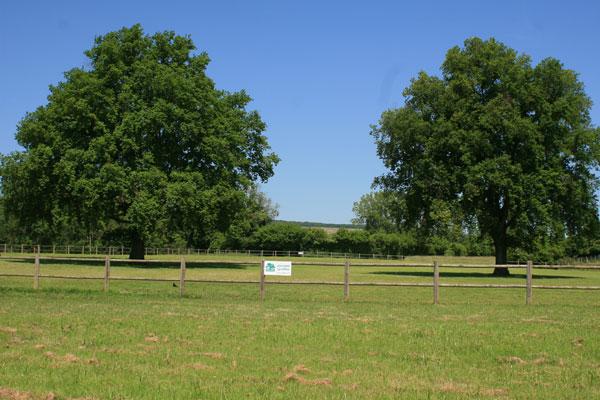 Domaine des Deux Ch&ecirc;nes | Centro ippico > Scuderie di proprietari 