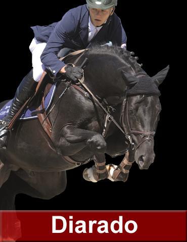 Diarado - Holsteiner 2005 ,  DIAMANT DE SEMILLY SFA