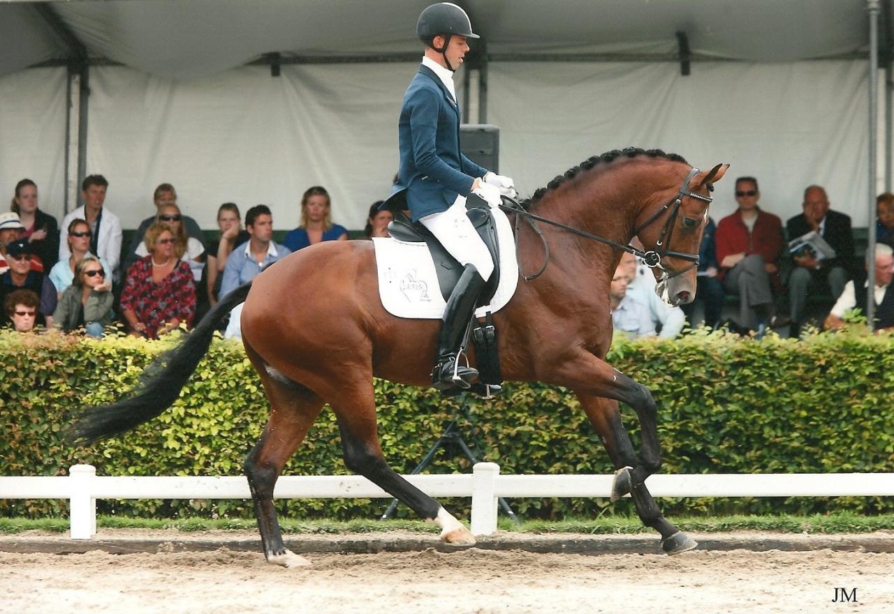 ZZ TOP - KWPN Cavallo da Sport Neerlandese 2004 ,  Glock's Tango