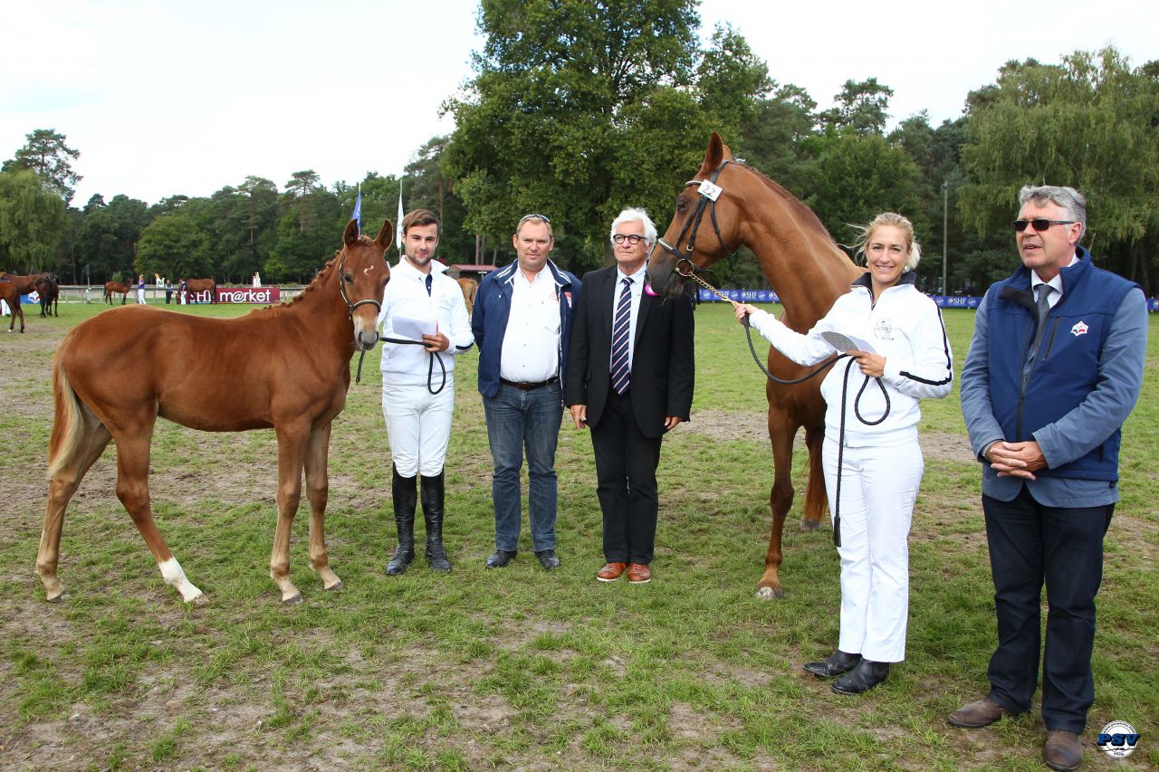 ZZ TOP - KWPN Cavallo da Sport Neerlandese 2004 ,  Glock's Tango