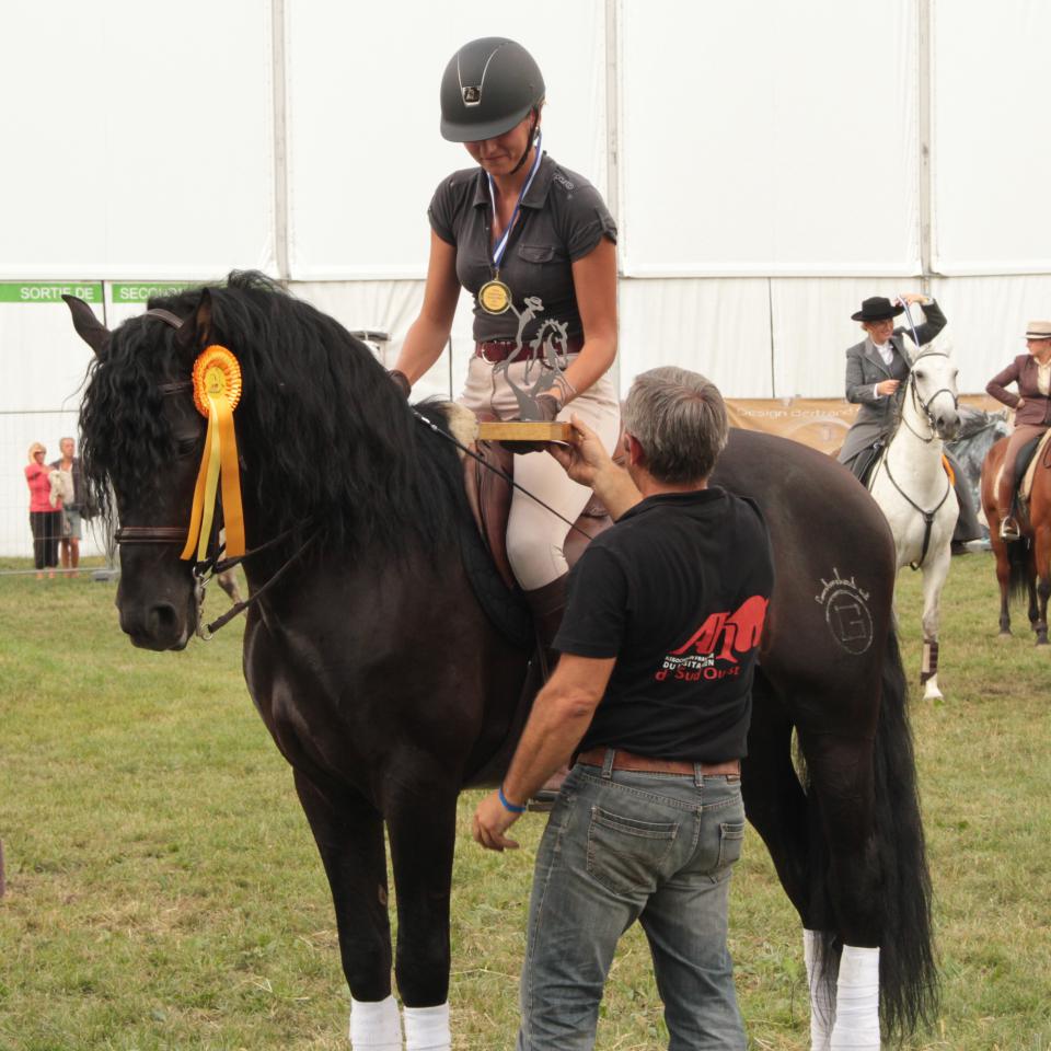 TENORIO DE VERLIN - PRE Andaluso 2007 ,  NIGER V