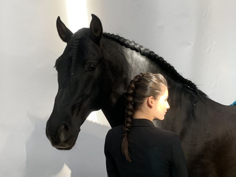 TENORIO DE VERLIN - PRE Andaluso 2007 ,  NIGER V