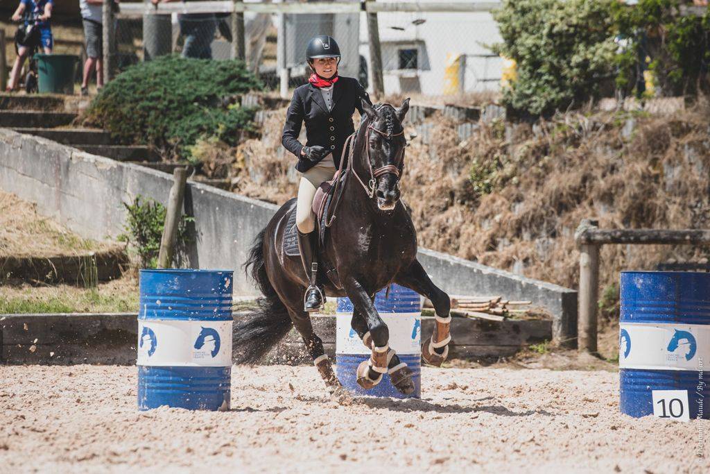 TENORIO DE VERLIN - PRE Andaluso 2007 ,  NIGER V