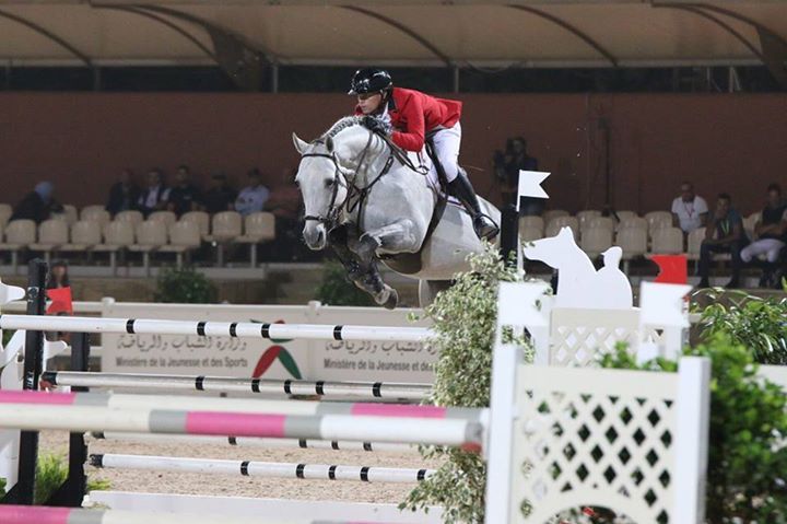Garfield des Templiers - BWP Cavallo da Sangue Belgio 2006 ,  Quazimondo z