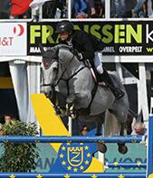 Garfield des Templiers - BWP Cavallo da Sangue Belgio 2006 ,  Quazimondo z