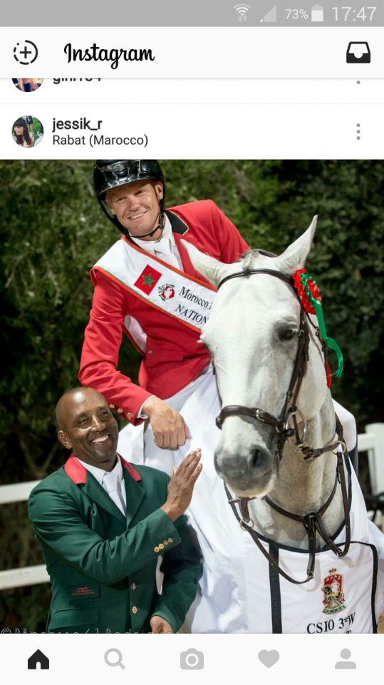 Garfield des Templiers - BWP Cavallo da Sangue Belgio 2006 ,  Quazimondo z