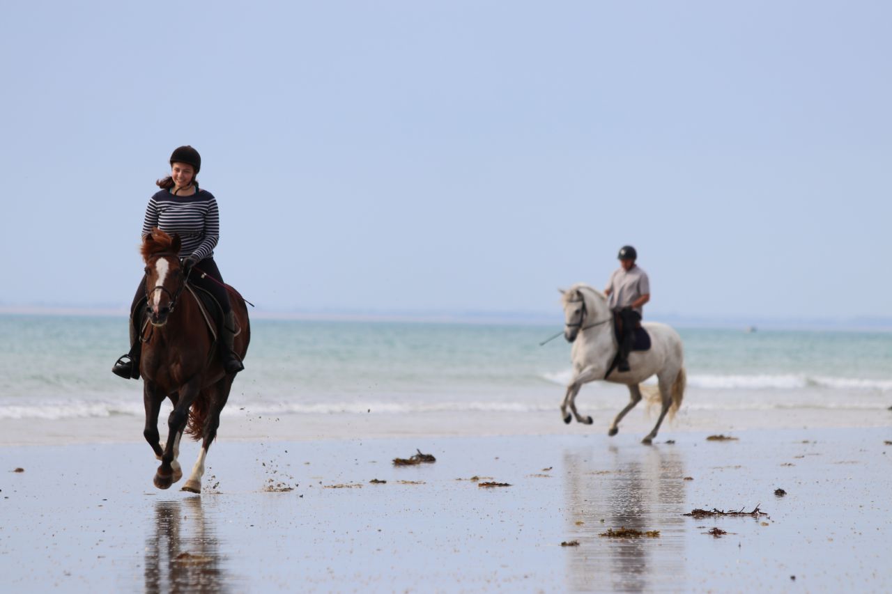 Camera d'ospiti  Manche