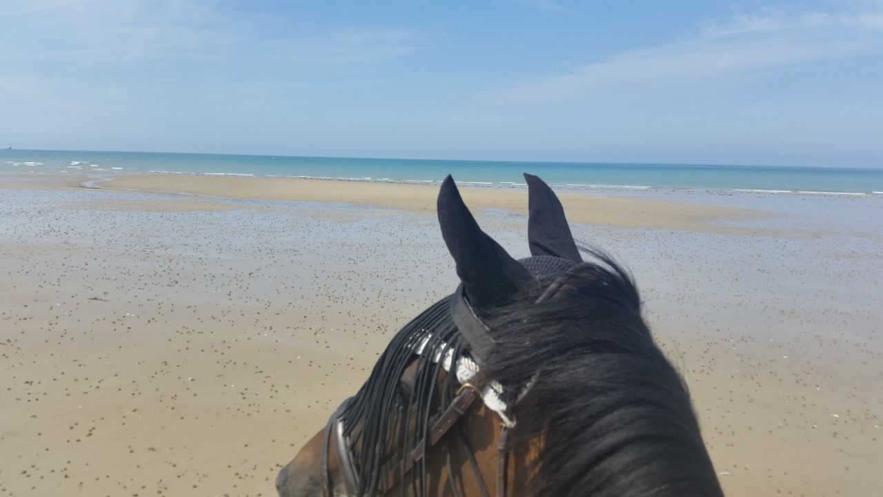 Camera d'ospiti  Manche