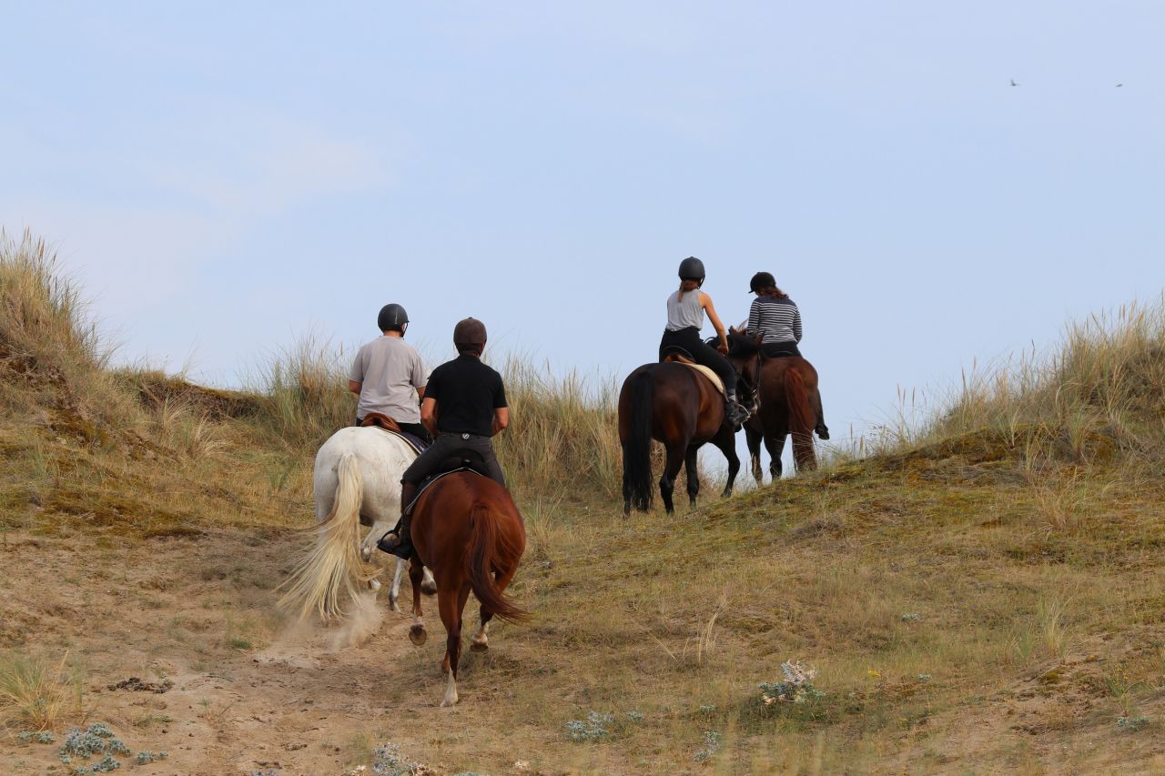 Camera d'ospiti  Manche