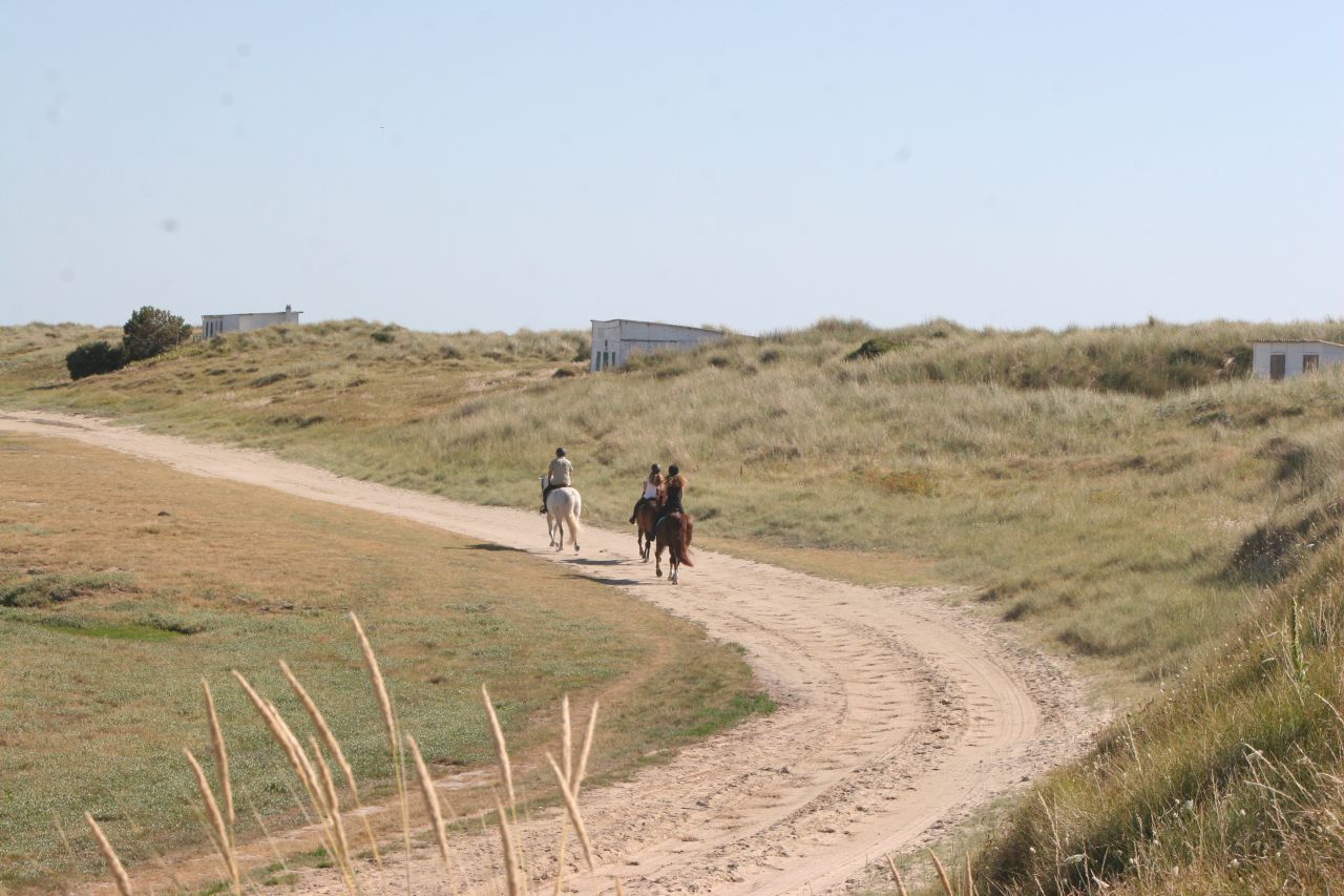 Camera d'ospiti  Manche