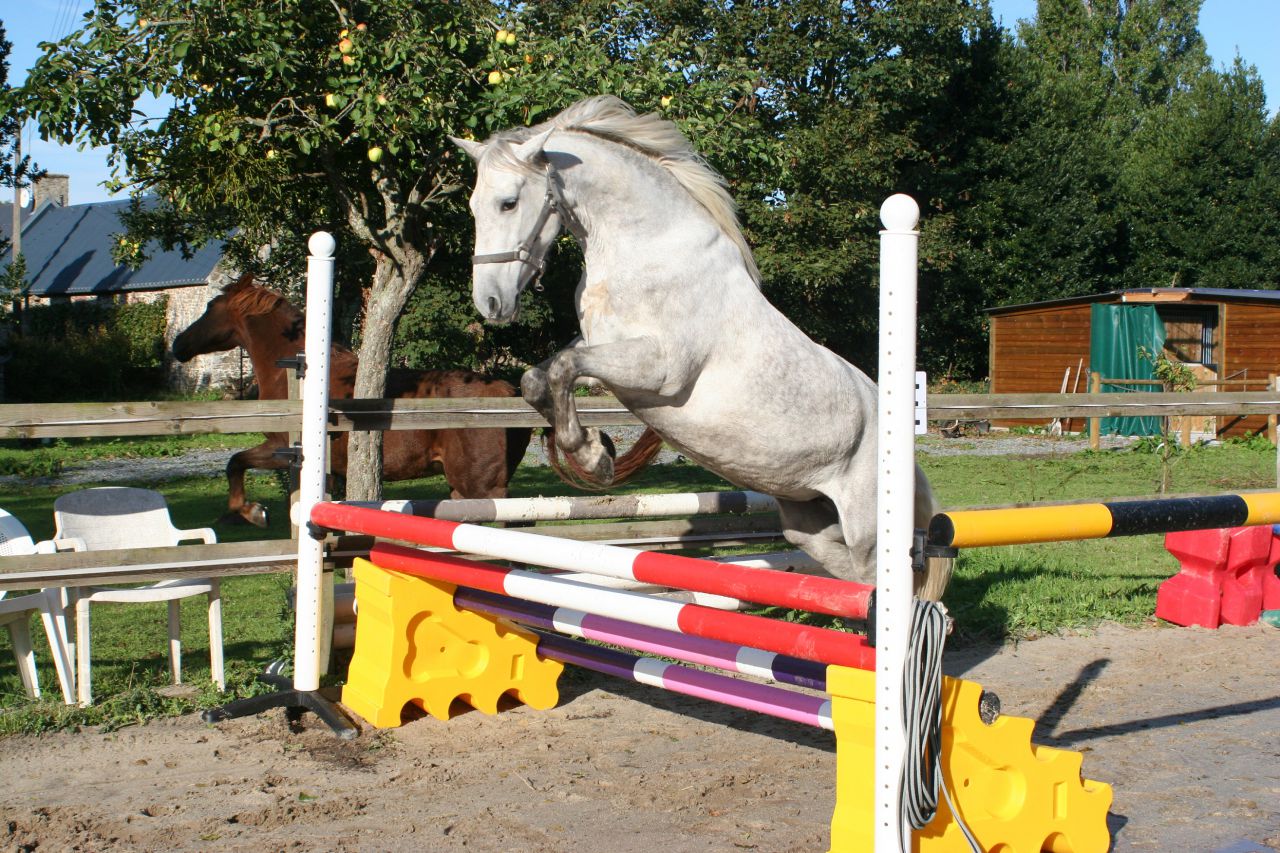 Camera d'ospiti  Manche