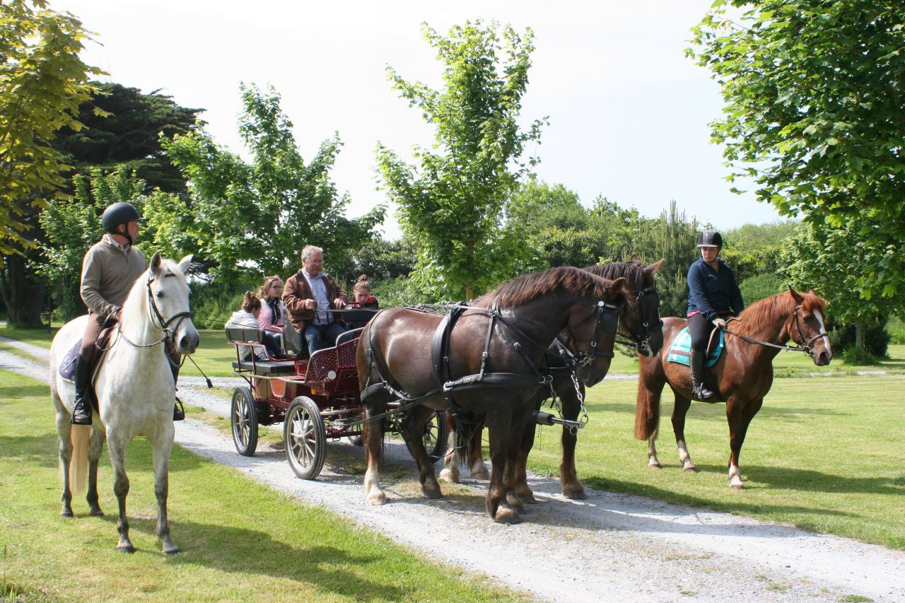 Camera d'ospiti  Manche