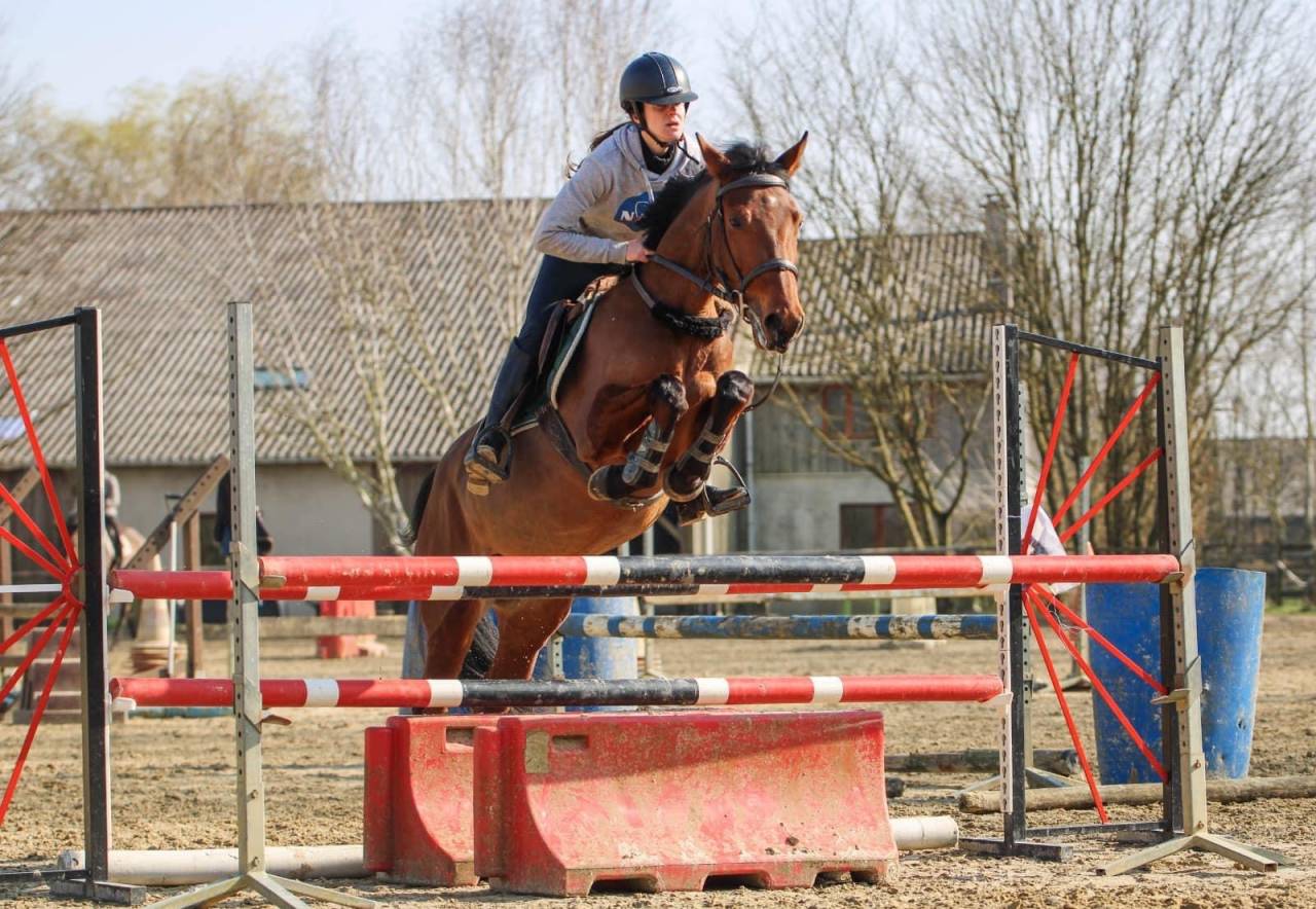 ROCKENROL GEVAUDAN - New Forest 2005 ,  IVOIRE DE CIVRY 