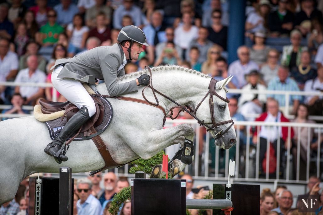 Convall - Holsteiner 2007 ,  COLMAN