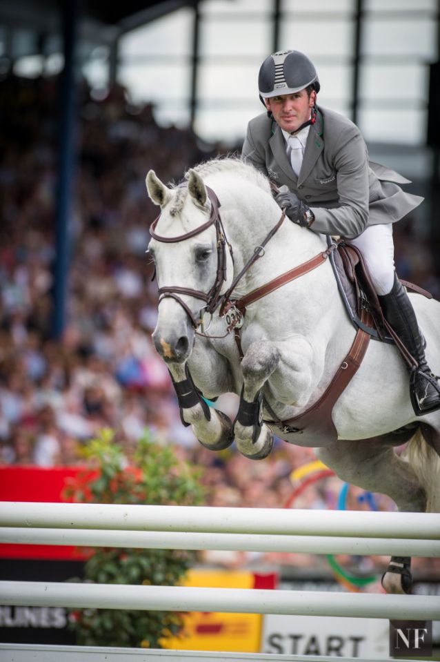 Convall - Holsteiner 2007 ,  COLMAN