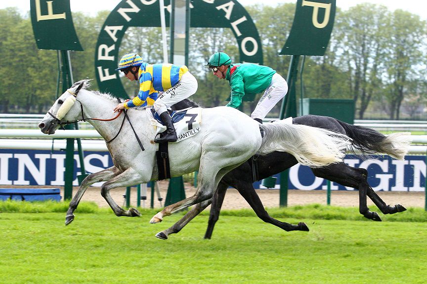 FLY WITH ME - Purosangue Inglese 2010 ,  BEAT HOLLOW