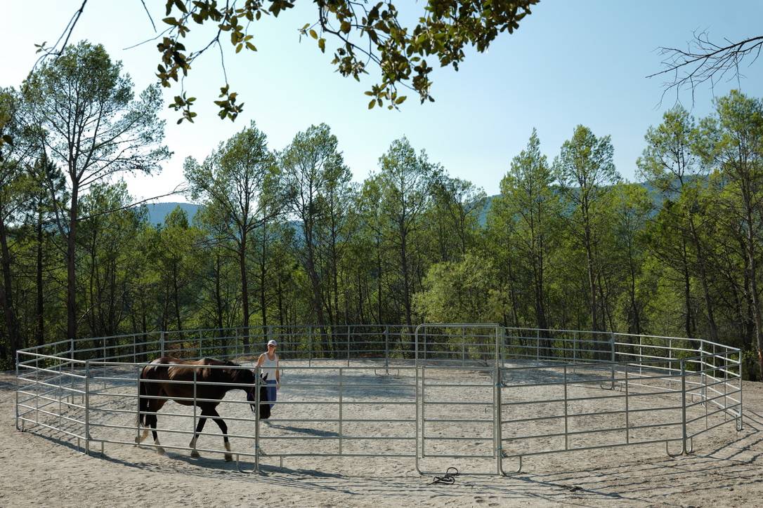 Les Ecuries de la Cinarca 