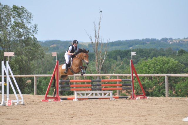 Cavalla New Forest In vendita 2009 Baio ,  SILVERLEA SIMPLY RED