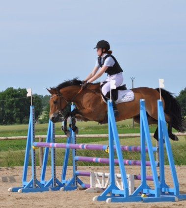 Cavalla New Forest In vendita 2009 Baio ,  SILVERLEA SIMPLY RED