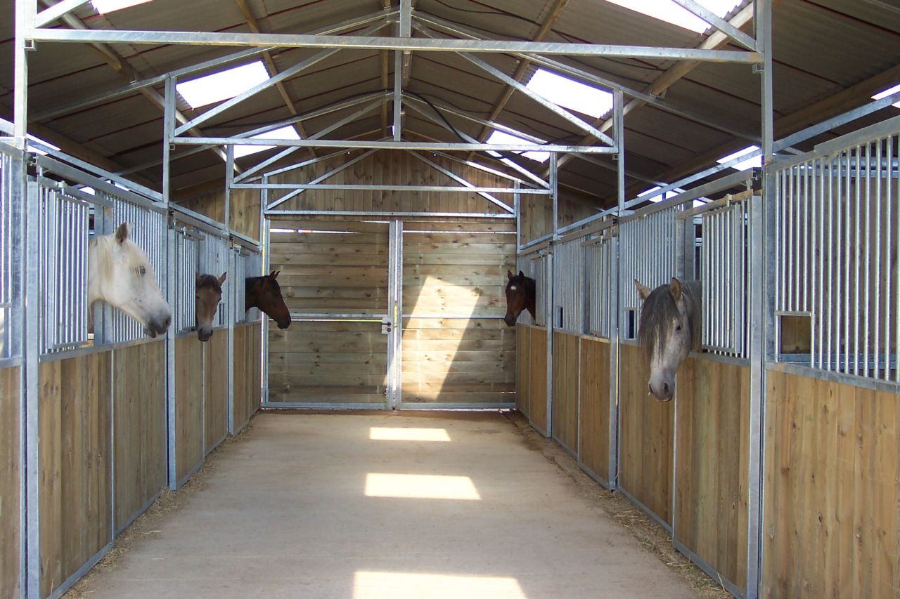 L'élevage de Cenves 