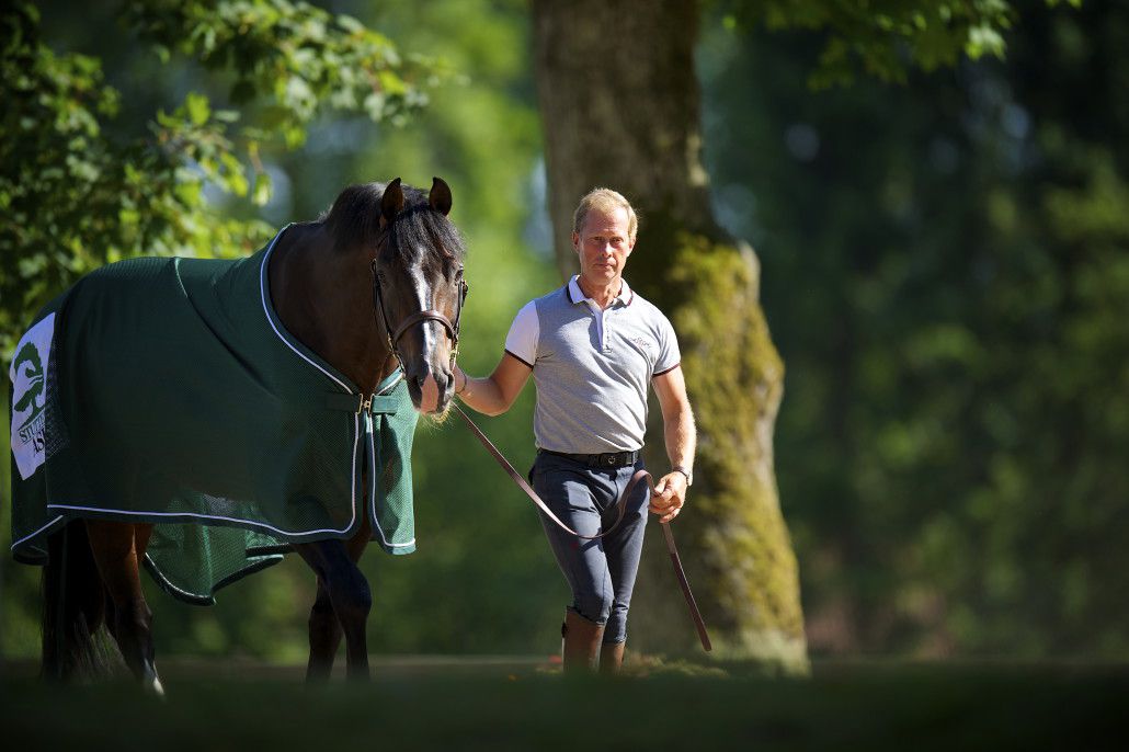 Casall ASK - Holsteiner 1999 ,  Caretino