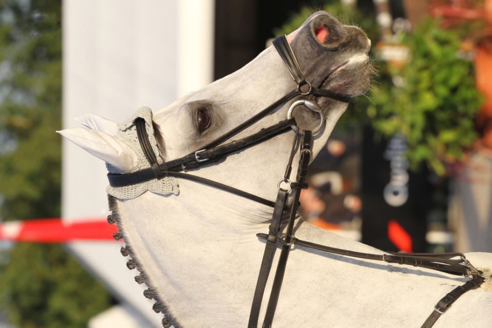 Cornet's Stern - Westphalien 2003 ,  CORNET OBOLENSKY